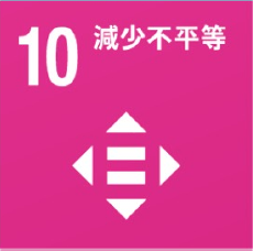 SDG 10
