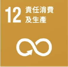 SDG 12