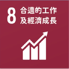 SDG 8